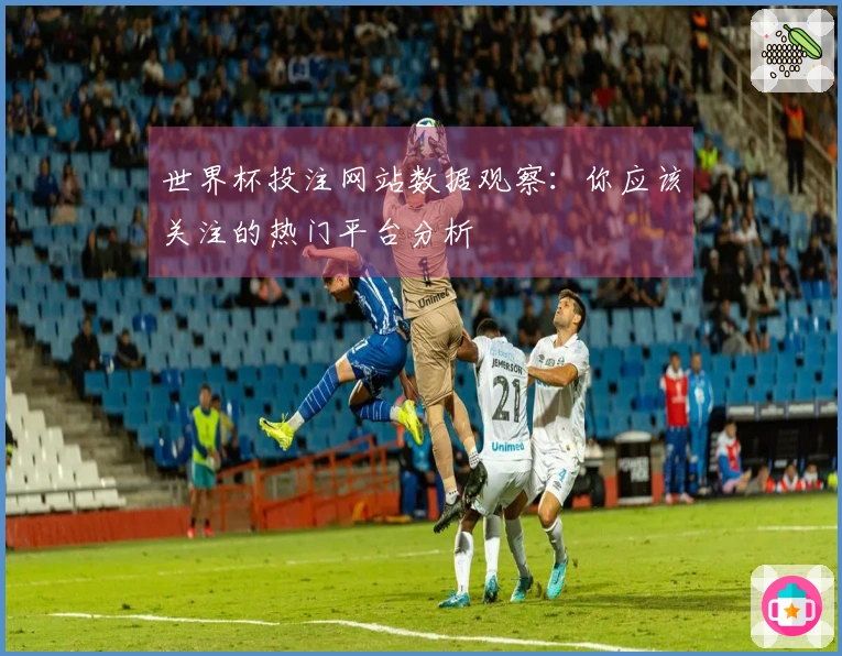世界杯投注网站数据观察：你应该关注的热门平台分析