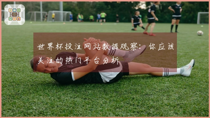 世界杯投注网站数据观察：你应该关注的热门平台分析