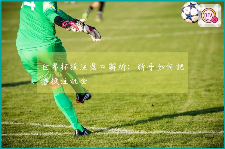 世界杯投注盘口解析：新手如何把握投注机会