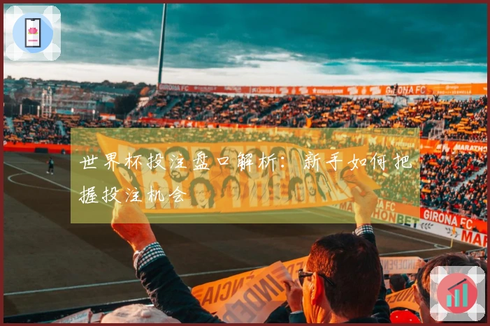 世界杯投注盘口解析：新手如何把握投注机会